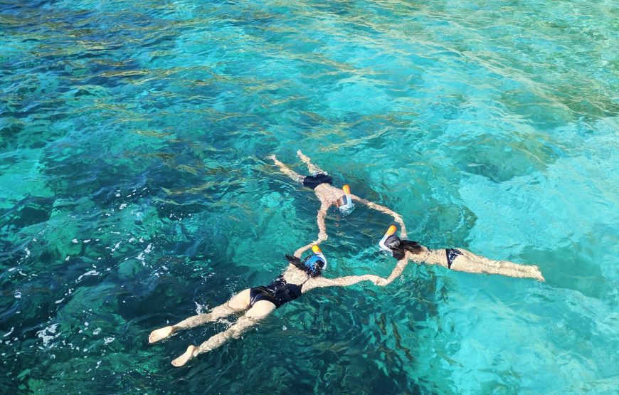 Guided kayak, hike and snorkel in a natural park.