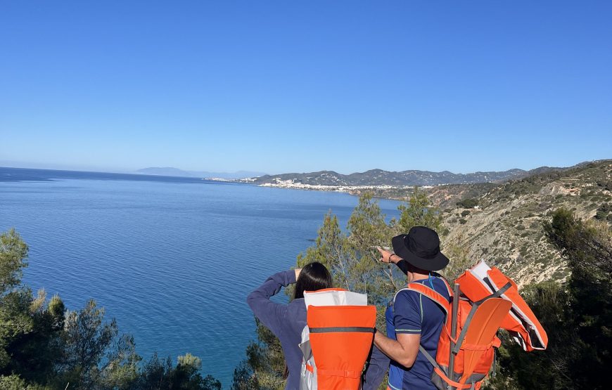 Guided kayak, hike and snorkel in a natural park.