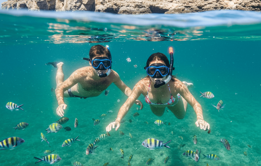 Guided kayak, hike and snorkel in a natural park.